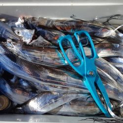 KIM Fishing Guide Service 釣果