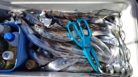 KIM Fishing Guide Ser…