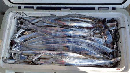 KIM Fishing Guide Service 釣果