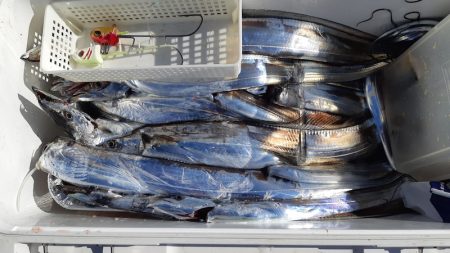 KIM Fishing Guide Service 釣果