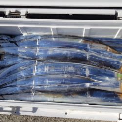 KIM Fishing Guide Service 釣果