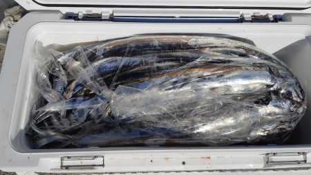 KIM Fishing Guide Service 釣果