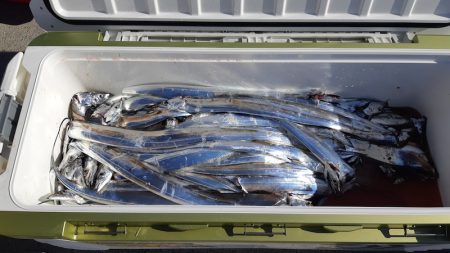 KIM Fishing Guide Service 釣果