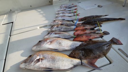 KIM Fishing Guide Ser…