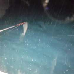 BlueNote Fishing Taxi 釣果