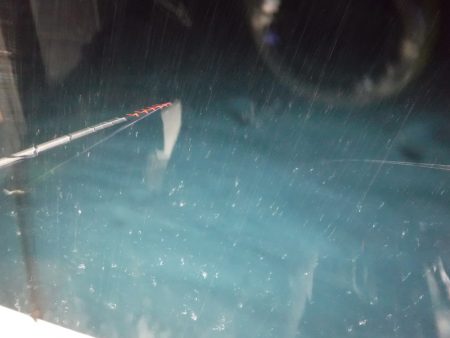 BlueNote Fishing Taxi 釣果