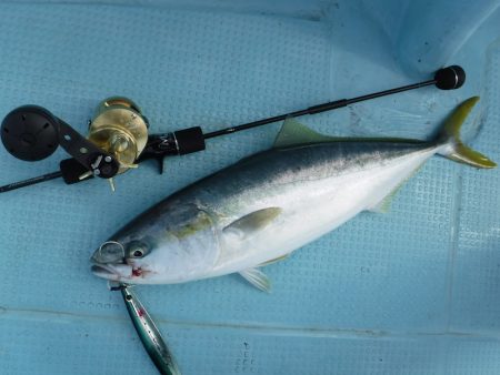 ＢｌｕｅＮｏｔｅ　Ｆｉｓｈｉｎｇ　Ｔａｘｉ 釣果