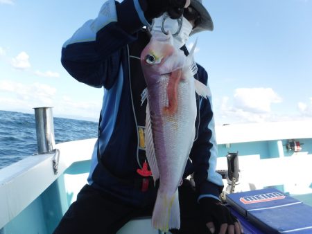 ＢｌｕｅＮｏｔｅ　Ｆｉｓｈｉｎｇ　Ｔａｘｉ 釣果