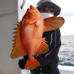 ＢｌｕｅＮｏｔｅ　Ｆｉｓｈｉｎｇ　Ｔａｘｉ 釣果