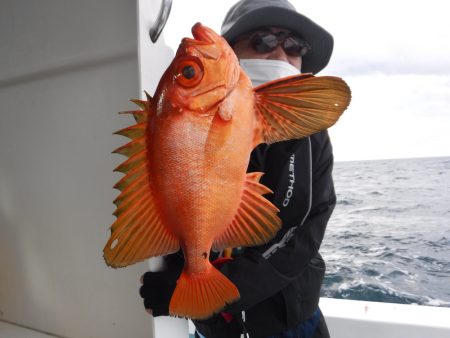 ＢｌｕｅＮｏｔｅ　Ｆｉｓｈｉｎｇ　Ｔａｘｉ 釣果