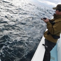 ＢｌｕｅＮｏｔｅ　Ｆｉｓｈｉｎｇ　Ｔａｘｉ 釣果