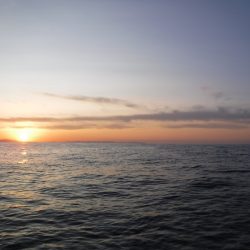 BlueNote Fishing Taxi 釣果