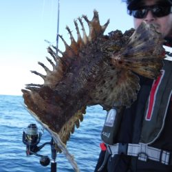 BlueNote Fishing Taxi 釣果