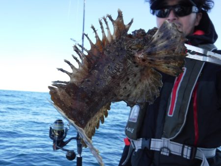 BlueNote Fishing Taxi 釣果