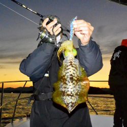 South Current 釣果