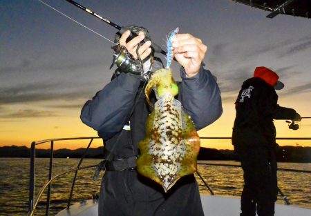 South Current 釣果