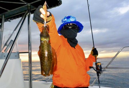 South Current 釣果