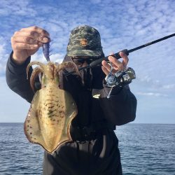 South Current 釣果