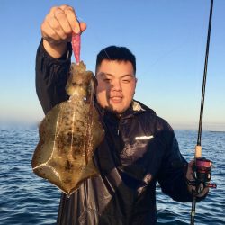 South Current 釣果