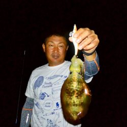 South Current 釣果