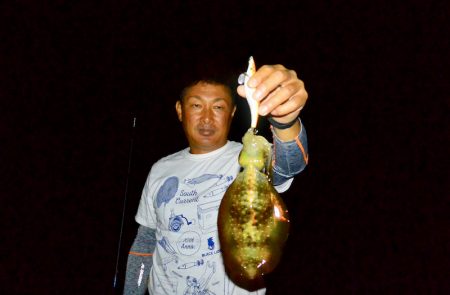 South Current 釣果