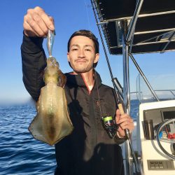 South Current 釣果