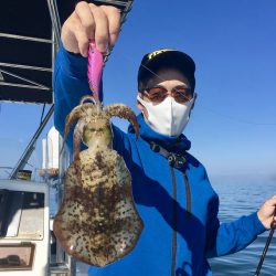 South Current 釣果