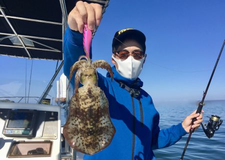 South Current 釣果