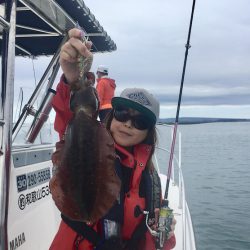 South Current 釣果