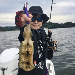 South Current 釣果