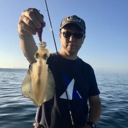 South Current 釣果