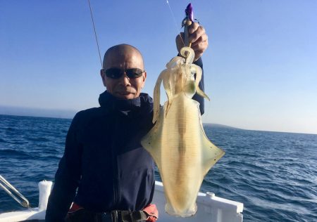 South Current 釣果