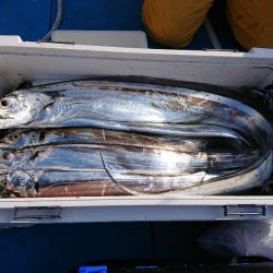 深川 吉野屋 釣果