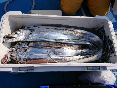 深川 吉野屋 釣果