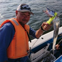 深川 吉野屋 釣果