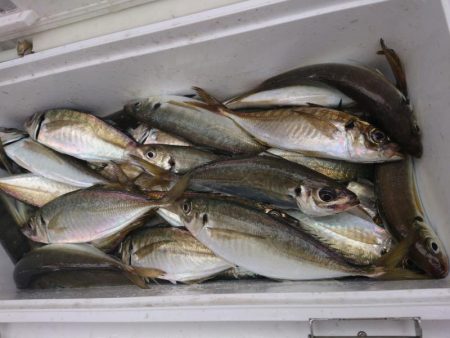 深川 吉野屋 釣果