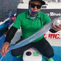 深川 吉野屋 釣果