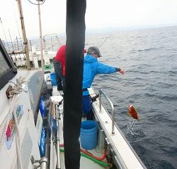 第二清洋丸 釣果