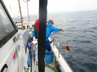 第二清洋丸 釣果