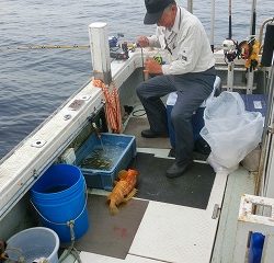 第二清洋丸 釣果