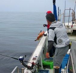 第二清洋丸 釣果