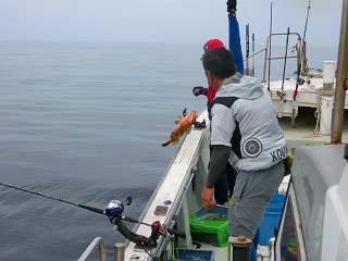 第二清洋丸 釣果