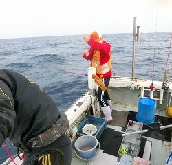 第二清洋丸 釣果