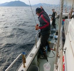 第二清洋丸 釣果