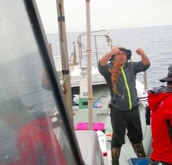 第二清洋丸 釣果