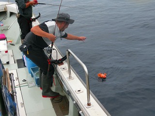 第二清洋丸 釣果