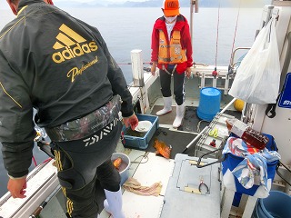 第二清洋丸 釣果