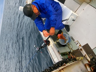 第二清洋丸 釣果