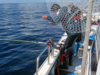第二清洋丸 釣果