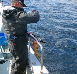 第二清洋丸 釣果